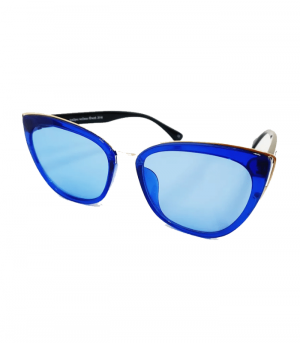 Ionspec Sunglasses Blue with Silver (1)