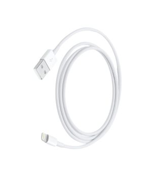 Apple Lightning to USB Cable ( 1m) (1)