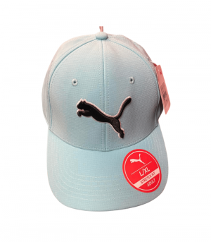 Puma Stretch-fit Blue