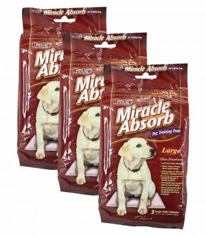 Miracle Absorb Pet Training Pads Lg 3pc