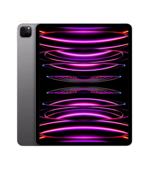 Apple iPad Pro 12.9 - inch 6th Gen M2 256GB Space Gray WiFi