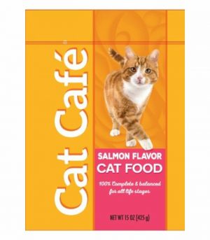 Untitled design - 2022-11-08T125925.617