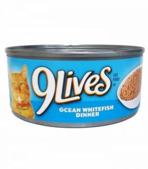 Untitled design (53)