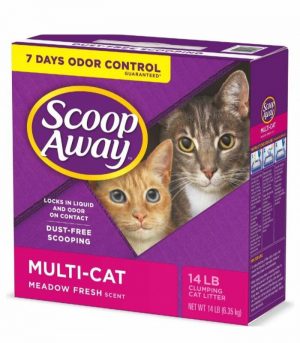 Untitled design (57)