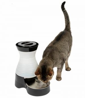 Untitled design (70)