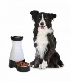 Untitled design (74)