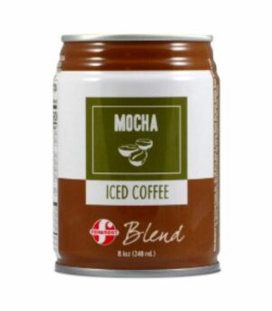 Blend Iced Coffee Mocha 8.1oz