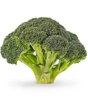 Broccoli.jpg