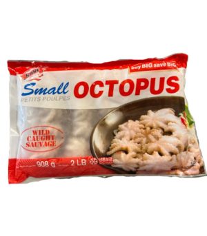 Octopus.jpg