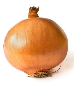 Onion-1.jpg
