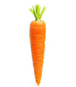 carrot-2.jpg